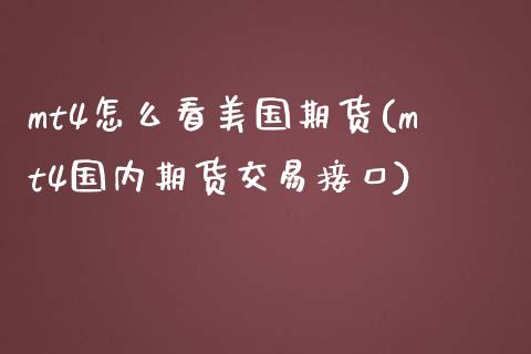 mt4怎么看美国期货(mt4国内期货交易接口)_https://www.liuyiidc.com_期货品种_第1张