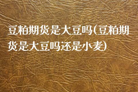 豆粕期货是大豆吗(豆粕期货是大豆吗还是小麦)_https://www.liuyiidc.com_期货知识_第1张