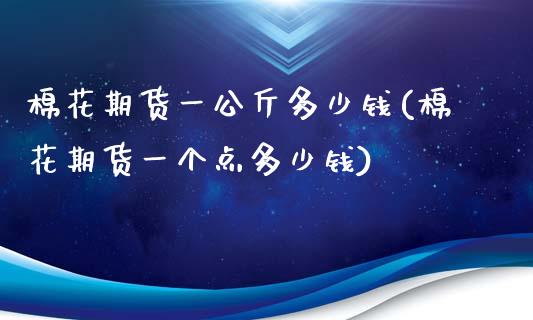 棉花期货一公斤多少钱(棉花期货一个点多少钱)_https://www.liuyiidc.com_期货知识_第1张