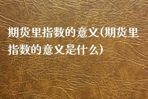 期货里指数的意义(期货里指数的意义是什么)_https://www.liuyiidc.com_期货交易所_第1张