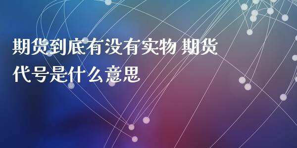 期货到底有没有实物 期货代号是什么意思_https://www.liuyiidc.com_基金理财_第1张