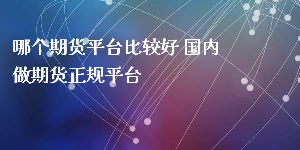 哪个期货平台比较好 国内做期货平台_https://www.liuyiidc.com_期货理财_第1张