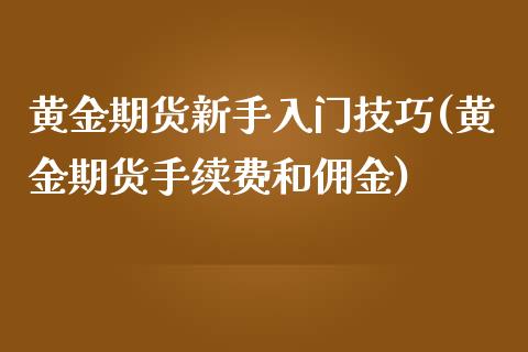 黄金期货新手入门技巧(黄金期货手续费和佣金)_https://www.liuyiidc.com_期货品种_第1张