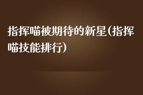 指挥喵被期待的新星(指挥喵技能排行)_https://www.liuyiidc.com_期货直播_第1张