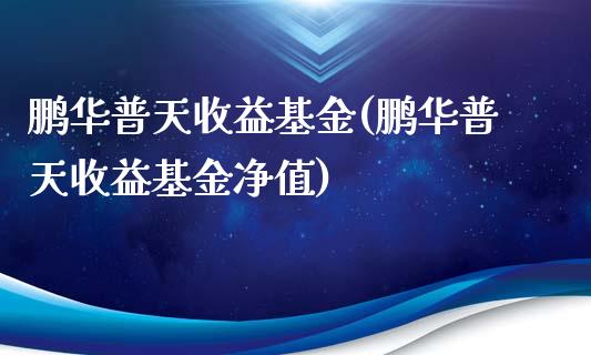 鹏华普天收益基金(鹏华普天收益基金净值)_https://www.liuyiidc.com_股票理财_第1张