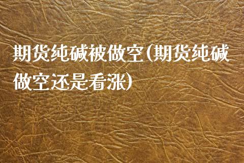 期货纯碱被做空(期货纯碱做空还是看涨)_https://www.liuyiidc.com_基金理财_第1张