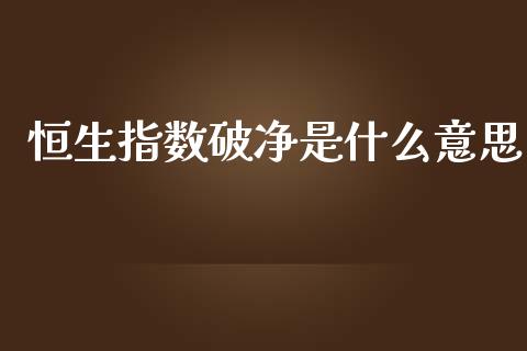 恒生指数破净是什么意思_https://www.liuyiidc.com_恒生指数_第1张