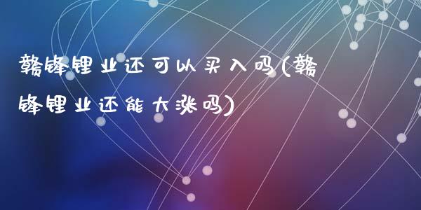 赣锋锂业还可以买入吗(赣锋锂业还能大涨吗)_https://www.liuyiidc.com_理财百科_第1张