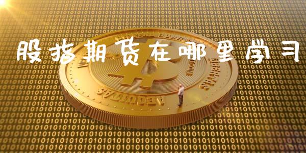 股指期货在哪里学_https://www.liuyiidc.com_原油直播室_第1张