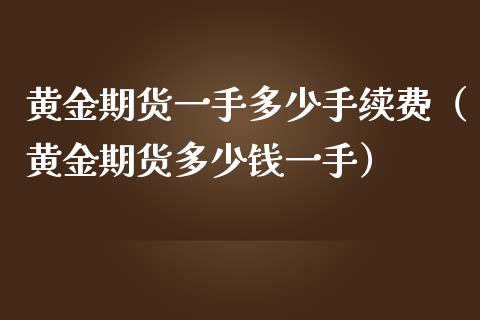 黄金期货一手多少手续费（黄金期货多少钱一手）_https://www.liuyiidc.com_黄金期货_第1张