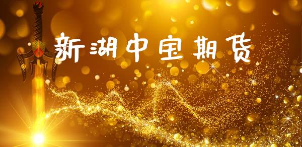 新湖中宝期货_https://www.liuyiidc.com_黄金期货_第1张