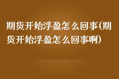 期货开始浮盈怎么回事(期货开始浮盈怎么回事啊)_https://www.liuyiidc.com_财经要闻_第1张