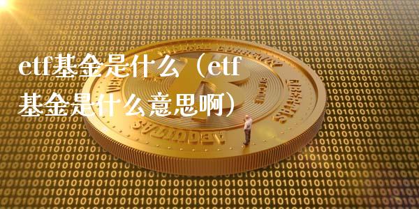 etf基金是什么（etf基金是什么意思啊）_https://www.liuyiidc.com_基金理财_第1张