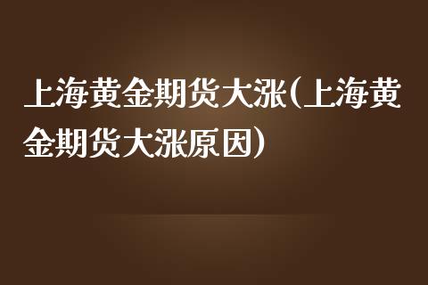 上海黄金期货大涨(上海黄金期货大涨原因)_https://www.liuyiidc.com_期货品种_第1张