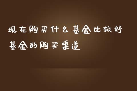 现在什么基金比较好 基金的渠道_https://www.liuyiidc.com_基金理财_第1张