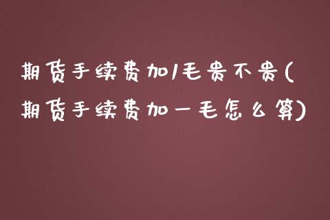 期货手续费加1毛贵不贵(期货手续费加一毛怎么算)_https://www.liuyiidc.com_期货交易所_第1张