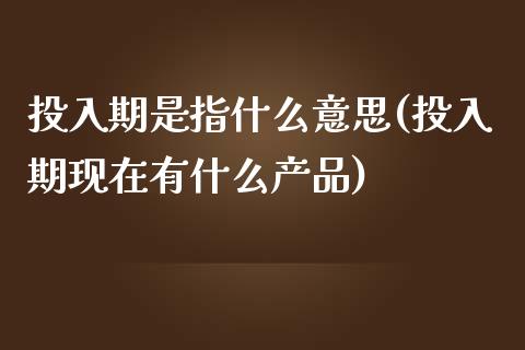 投入期是指什么意思(投入期现在有什么产品)_https://www.liuyiidc.com_理财百科_第1张