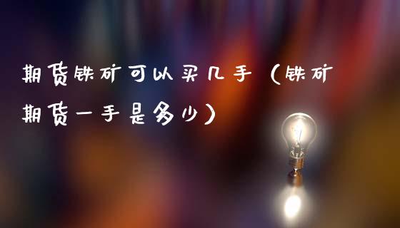 期货铁矿可以买几手（铁矿期货一手是多少）_https://www.liuyiidc.com_国际期货_第1张