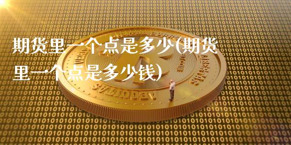 期货里一个点是多少(期货里一个点是多少钱)_https://www.liuyiidc.com_理财品种_第1张