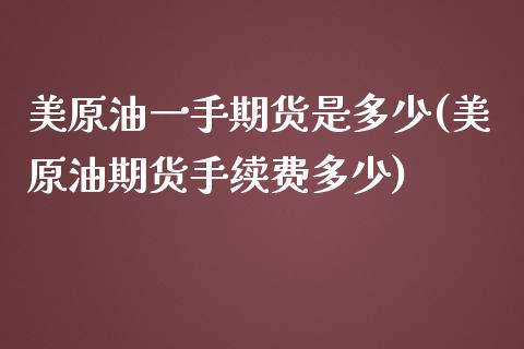 美原油一手期货是多少(美原油期货手续费多少)_https://www.liuyiidc.com_期货品种_第1张