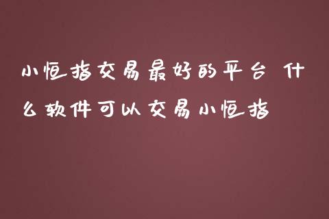 小恒指交易最好的平台 什么可以交易小恒指_https://www.liuyiidc.com_恒生指数_第1张