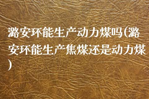 潞安环能生产动力煤吗(潞安环能生产焦煤还是动力煤)_https://www.liuyiidc.com_期货品种_第1张