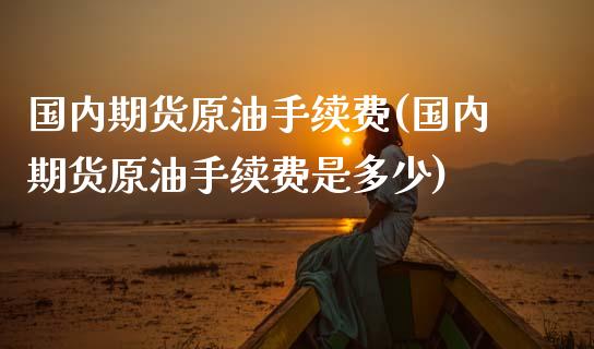 国内期货原油手续费(国内期货原油手续费是多少)_https://www.liuyiidc.com_财经要闻_第1张