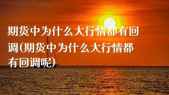 期货中为什么大行情都有回调(期货中为什么大行情都有回调呢)_https://www.liuyiidc.com_财经要闻_第1张