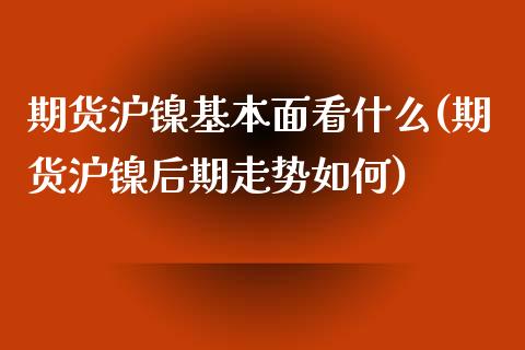 期货沪镍基本面看什么(期货沪镍后期走势如何)_https://www.liuyiidc.com_理财百科_第1张