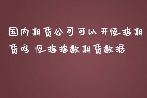 国内期货可以开恒指期货吗 恒指指数期货数据_https://www.liuyiidc.com_恒生指数_第1张