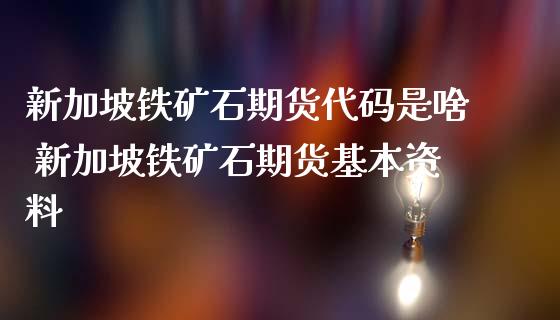 新加坡铁矿石期货代码是啥 新加坡铁矿石期货基本资料_https://www.liuyiidc.com_期货理财_第1张