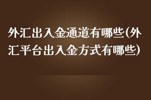 外汇出入金通道有哪些(外汇平台出入金方式有哪些)_https://www.liuyiidc.com_理财品种_第1张