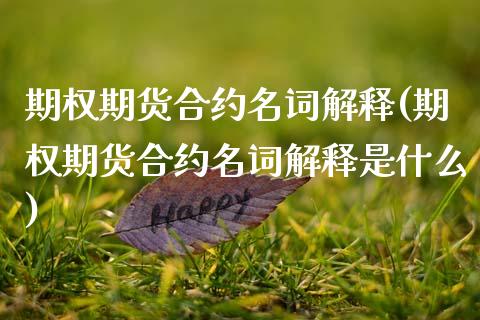 期权期货合约名词解释(期权期货合约名词解释是什么)_https://www.liuyiidc.com_期货品种_第1张