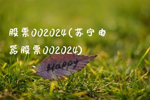 股票002024(苏宁电器股票002024)_https://www.liuyiidc.com_股票理财_第1张