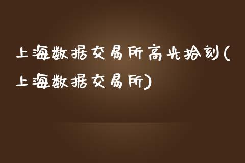 上海数据交易所高光拾刻(上海数据交易所)_https://www.liuyiidc.com_期货软件_第1张