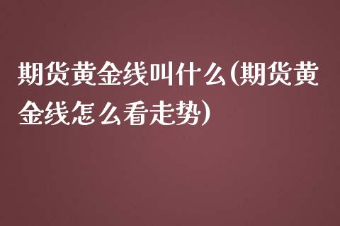 期货黄金线叫什么(期货黄金线怎么看走势)_https://www.liuyiidc.com_财经要闻_第1张