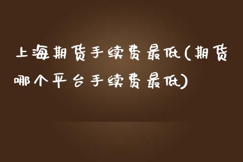 上海期货手续费最低(期货哪个平台手续费最低)_https://www.liuyiidc.com_国际期货_第1张