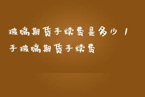 玻璃期货手续费是多少 1手玻璃期货手续费_https://www.liuyiidc.com_理财百科_第1张