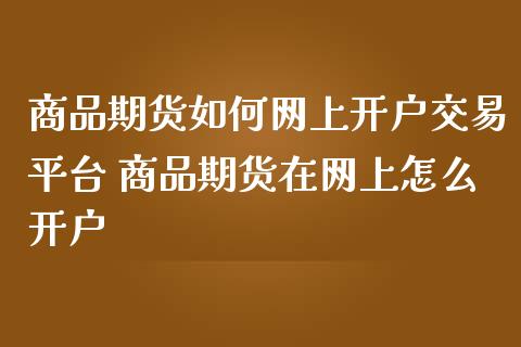 商品期货如何网上交易平台 商品期货在网上怎么_https://www.liuyiidc.com_理财百科_第1张