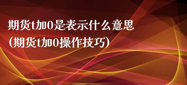 期货t加0是表示什么意思(期货t加0操作技巧)_https://www.liuyiidc.com_期货软件_第1张