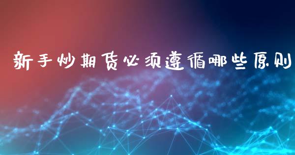 新手炒期货必须遵循哪些原则_https://www.liuyiidc.com_期货交易所_第1张