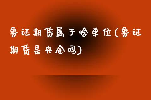 鲁证期货属于啥单位(鲁证期货是央企吗)_https://www.liuyiidc.com_道指直播_第1张