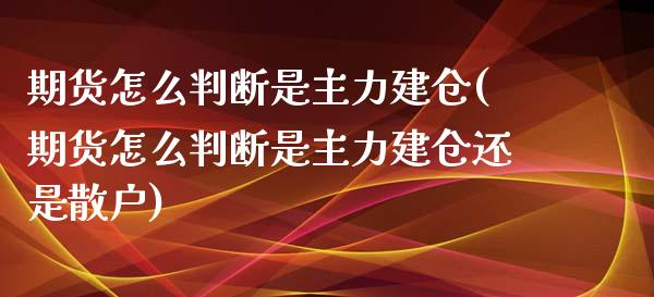 期货怎么判断是主力建仓(期货怎么判断是主力建仓还是散户)_https://www.liuyiidc.com_期货软件_第1张