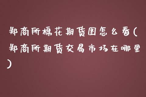 郑商所棉花期货图怎么看(郑商所期货交易市场在哪里)_https://www.liuyiidc.com_财经要闻_第1张