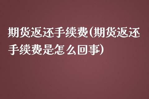 期货返还手续费(期货返还手续费是怎么回事)_https://www.liuyiidc.com_期货品种_第1张