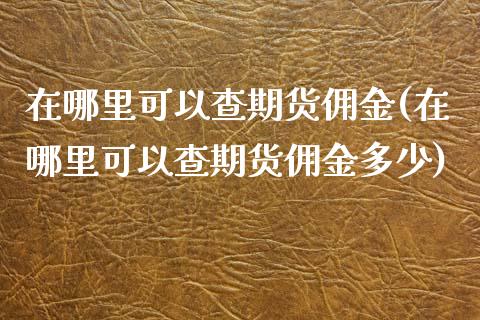 在哪里可以查期货佣金(在哪里可以查期货佣金多少)_https://www.liuyiidc.com_期货品种_第1张