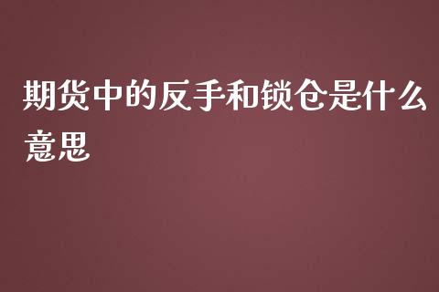 期货中的反手和锁仓是什么意思_https://www.liuyiidc.com_期货交易所_第1张