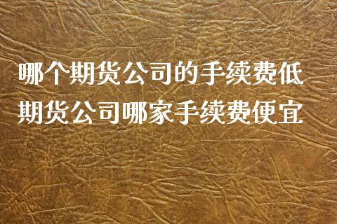 哪个期货的手续费低 期货哪家手续费便宜_https://www.liuyiidc.com_恒生指数_第1张