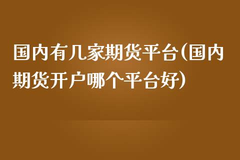 国内有几家期货平台(国内期货开户哪个平台好)_https://www.liuyiidc.com_国际期货_第1张