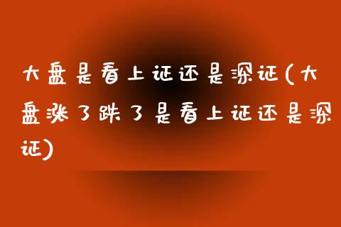 大盘是看上证还是深证(大盘涨了跌了是看上证还是深证)_https://www.liuyiidc.com_理财品种_第1张